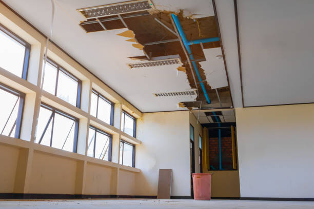 Best Water damage restoration process  in Valley Park, MO