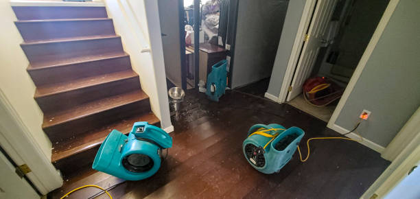 Best Water damage contractors near me  in Valley Park, MO