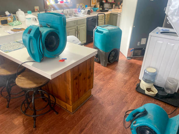 Best Commercial water damage restoration  in Valley Park, MO