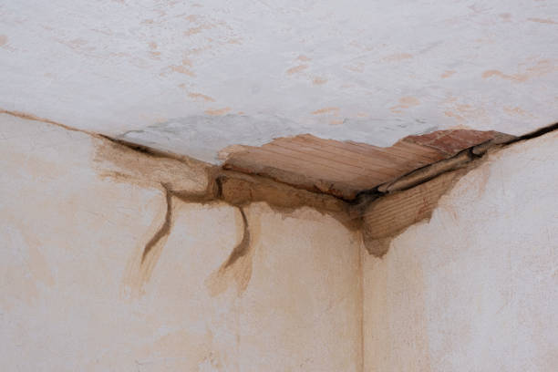  Valley Park, MO Water damage restoration Pros