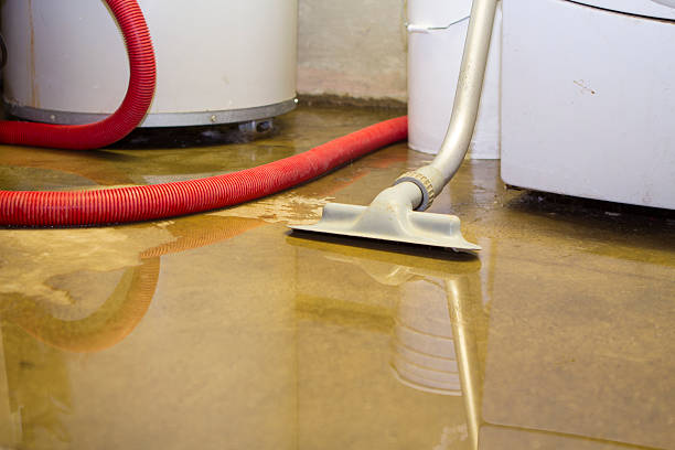 Best Commercial water damage restoration  in Valley Park, MO