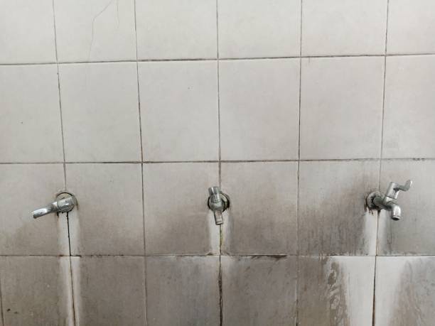 Best Professional water damage repair  in Valley Park, MO