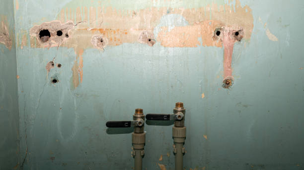 Best Water damage restoration near me  in Valley Park, MO