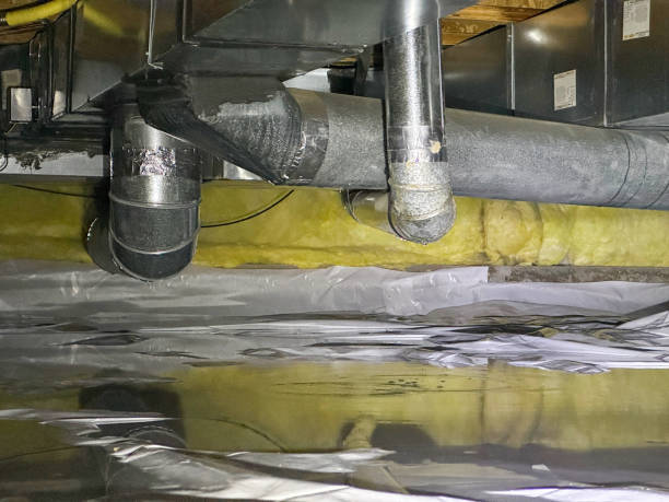 Best Sewage cleanup and water damage restoration  in Valley Park, MO