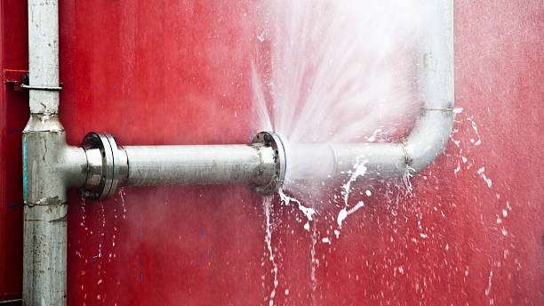 Best Local water damage restoration  in Valley Park, MO